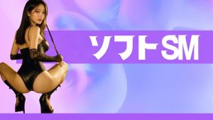 M男調教ソフトSM