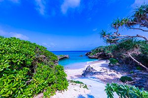 綺麗な沖縄の海