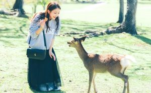奈良デートスポット