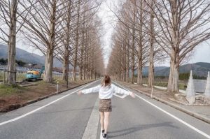 滋賀デートスポット